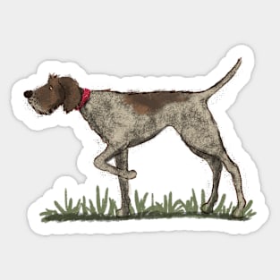 German Wirehaired Pointer Sticker